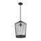 Z-Lite Lido 1 Light Pendant, Matte Black And Clear Seeded 342P13-MB - alternate 2